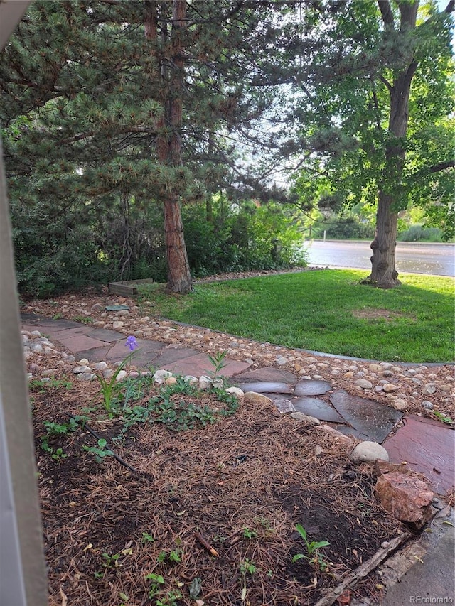 2215 W Mulberry St, Fort Collins, CO 80521 - photo 4