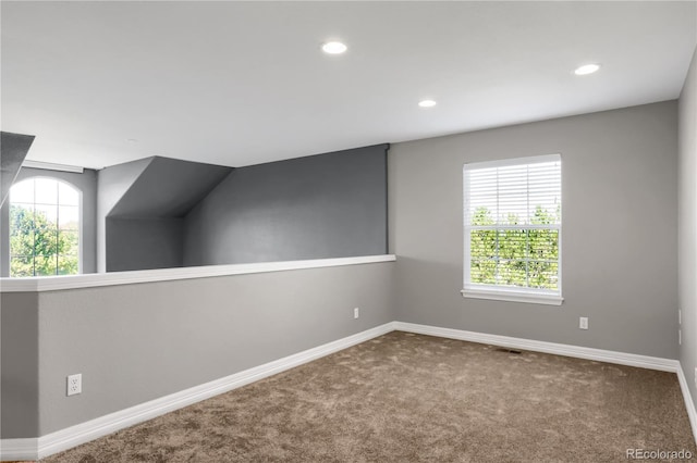 additional living space with plenty of natural light, baseboards, and carpet flooring