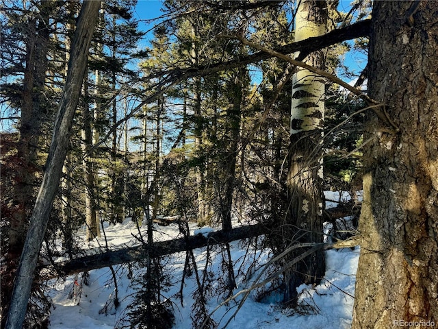 LOT2843 Wendt Ln, Fort Garland, CO 81133