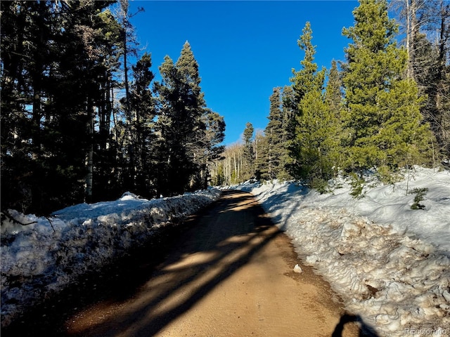 LOT2843 Wendt Ln, Fort Garland, CO 81133