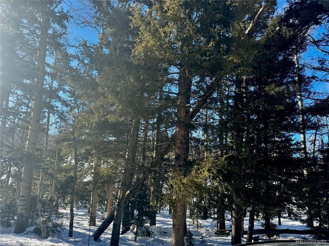 LOT2843 Wendt Ln, Fort Garland, CO 81133