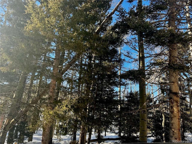 LOT2843 Wendt Ln, Fort Garland, CO 81133