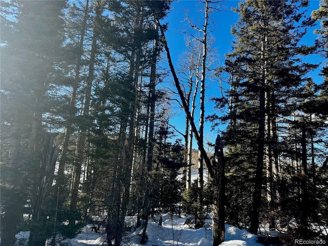 LOT2843 Wendt Ln, Fort Garland, CO 81133