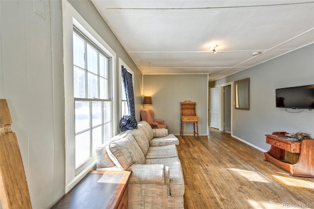 living room featuring light hardwood / wood-style flooring