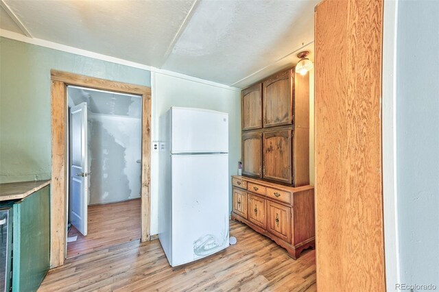 kitchen with white refrigerator and light hardwood / wood-style floors