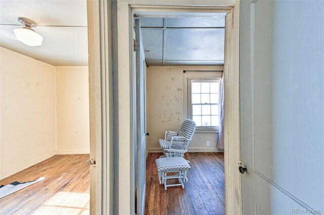 hallway featuring hardwood / wood-style floors