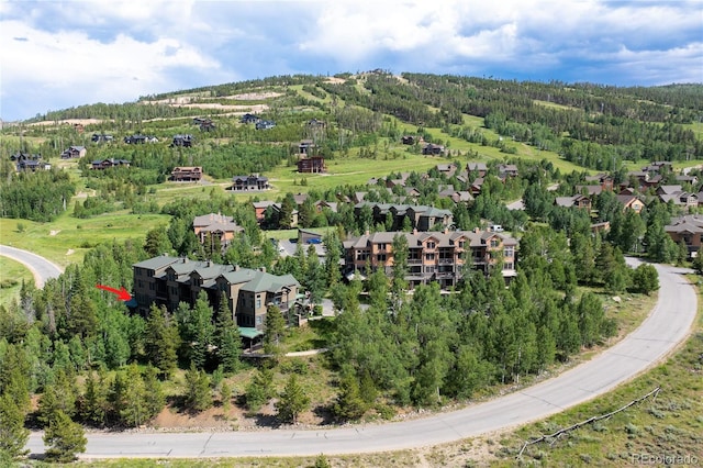 2104 Blue Sky Trl Unit 2-104, Granby, CO 80446 - bird's eye view of a forest