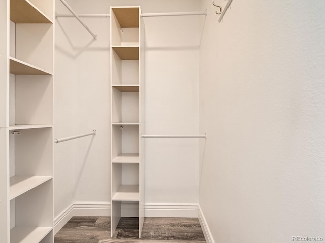 spacious closet featuring wood finished floors