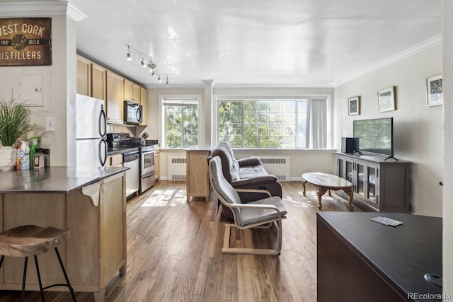 1450 Albion St Unit 206, Denver, CO 80220 - kitchen with stainless steel appliances, radiator, ornamental molding, and healthy amount of natural light