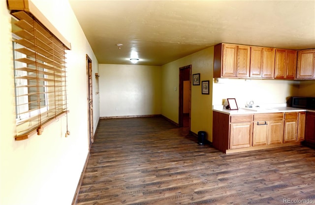 kitchen with sink and dark hardwood / wood-style floors