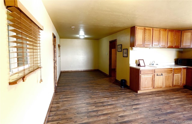 940 Puma Hills Rd, Lake George, CO 80827 - kitchen featuring dark wood-type flooring and light countertops
