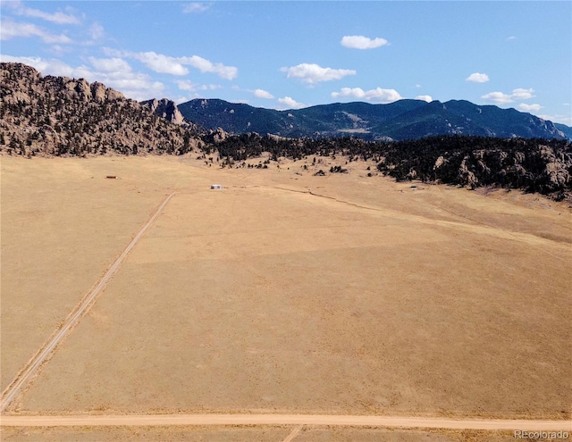 940 Puma Hills Rd, Lake George, CO 80827 - view of mountain background
