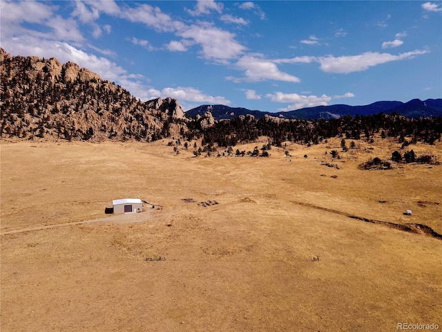 940 Puma Hills Rd, Lake George, CO 80827 - view of mountain background
