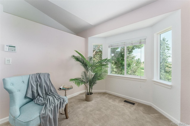 1220 S Boyero Ct, Superior, CO 80027 - photo 14