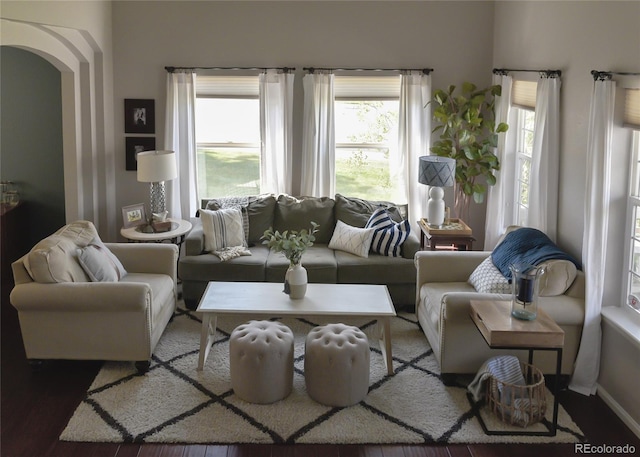 living room with wood-type flooring