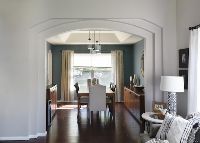 dining space with dark hardwood / wood-style floors and a tray ceiling