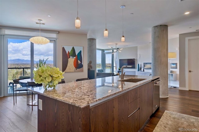 kitchen with dark hardwood / wood-style flooring, a kitchen island with sink, a wealth of natural light, and sink