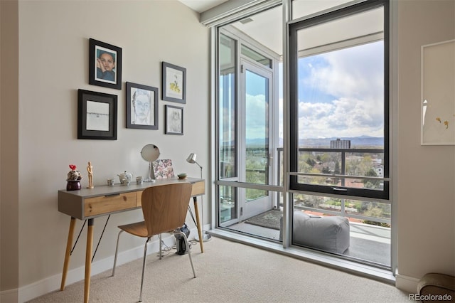 carpeted office with a wall of windows and plenty of natural light