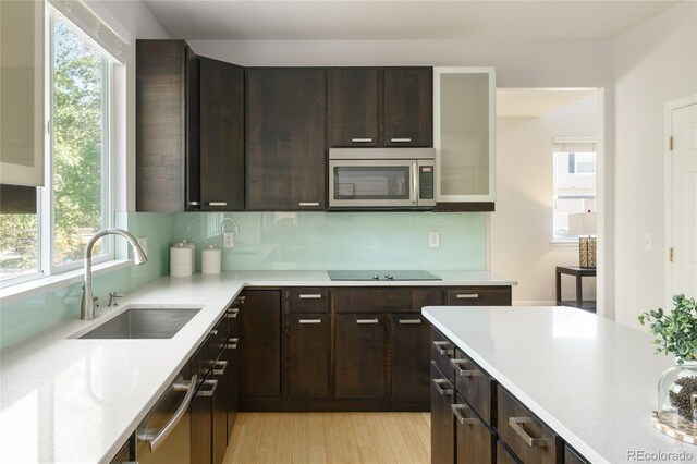 10511 Jaguar Gln, Lone Tree, CO 80124 - kitchen with appliances with stainless steel finishes, a sink, and plenty of natural light