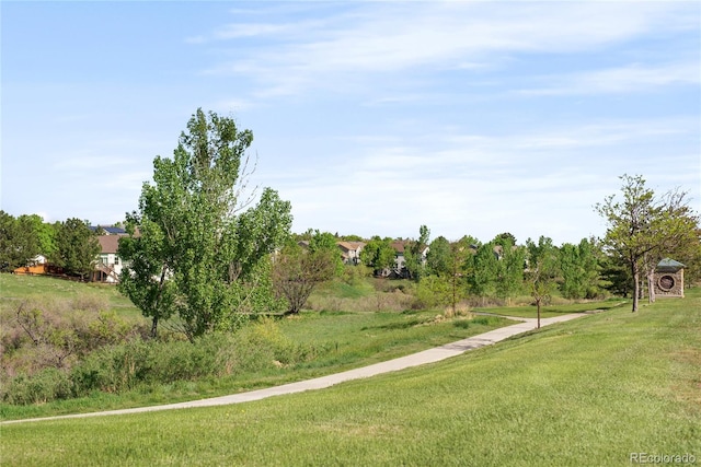 10511 Jaguar Gln, Lone Tree, CO 80124 - view of grassy yard