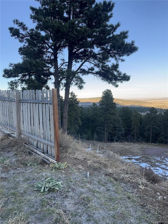 view of yard at dusk