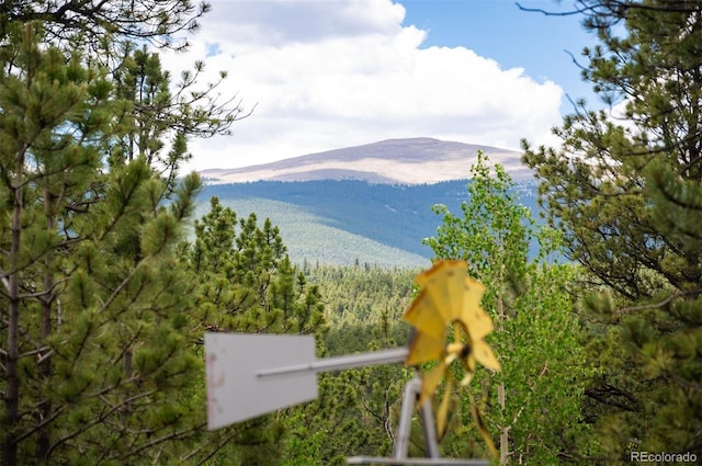 21 Crystal Rock Rd, Bailey, CO 80421 - view of mountain background