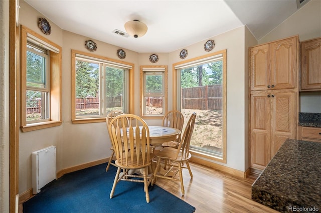 21 Crystal Rock Rd, Bailey, CO 80421 - dining area featuring radiator heating unit, plenty of natural light, and light wood-type flooring