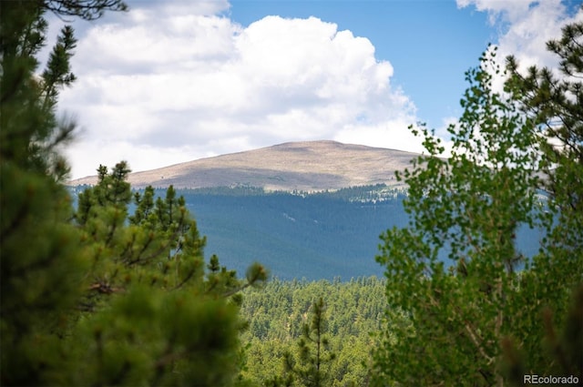 21 Crystal Rock Rd, Bailey, CO 80421 - water view featuring a mountainous background