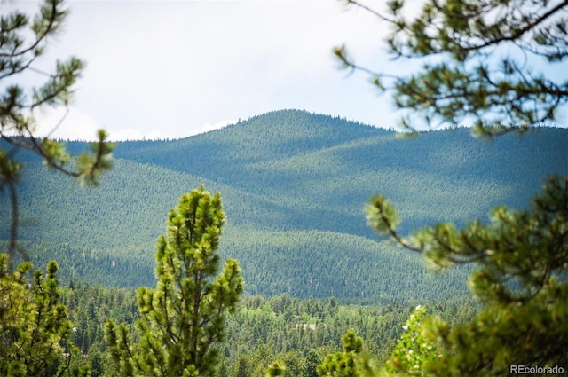 21 Crystal Rock Rd, Bailey, CO 80421 - view of mountain background with a forest