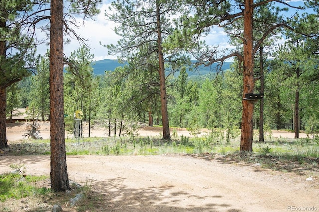 21 Crystal Rock Rd, Bailey, CO 80421 - view of street with a mountain view and a view of trees