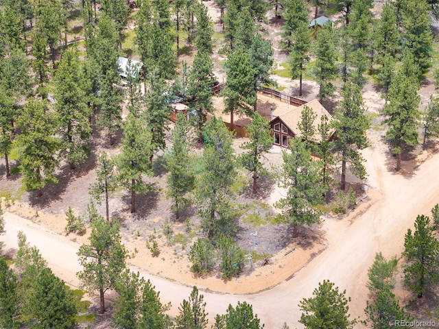 21 Crystal Rock Rd, Bailey, CO 80421 - aerial view
