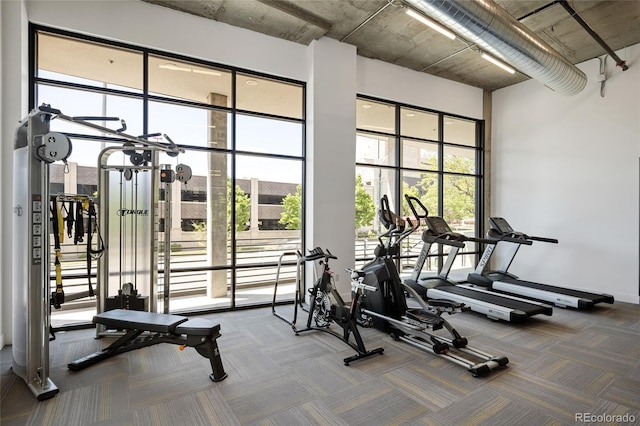 2374 S University Blvd Unit 202, Denver, CO 80210 - exercise room with carpet