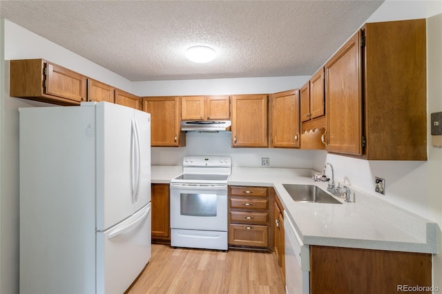 kitchen with sink, white appliances, a textured ceiling, and light hardwood / wood-style flooring