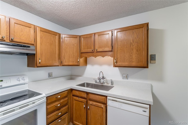 kitchen with a textured ceiling, ventilation hood, sink, and white appliances