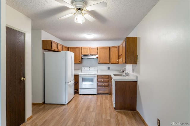 kitchen featuring white appliances, a textured ceiling, light hardwood / wood-style floors, sink, and ceiling fan