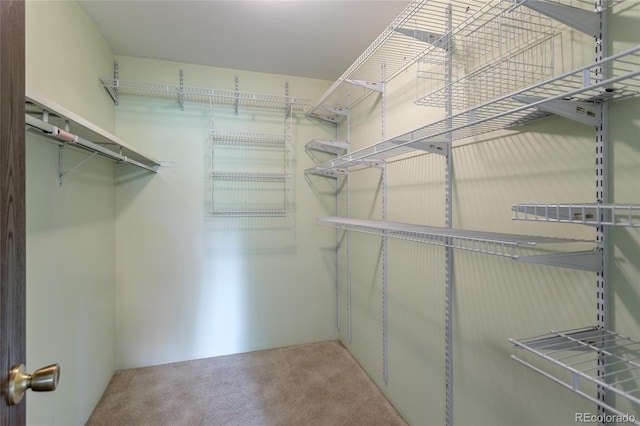 spacious closet featuring carpet flooring