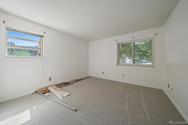 unfurnished room with plenty of natural light, a textured ceiling, and carpet flooring