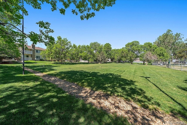view of yard