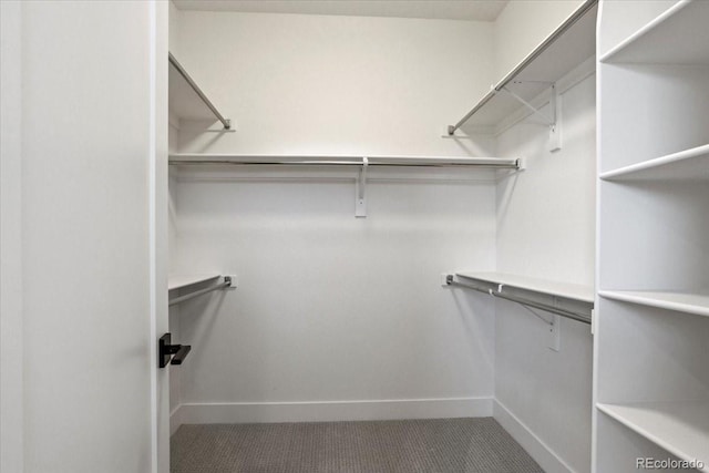 5604 Grandville Ave, Longmont, CO 80503 - spacious closet with carpet flooring