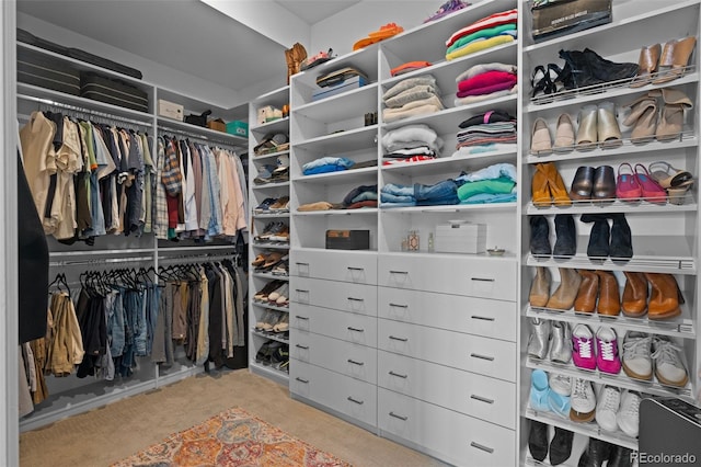 view of walk in closet