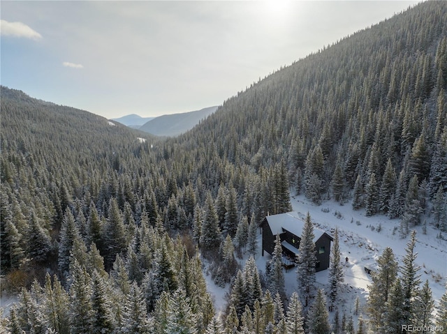 379 Rainbow Rd, Idaho Springs, CO 80452 - view of mountain background featuring a heavily wooded area