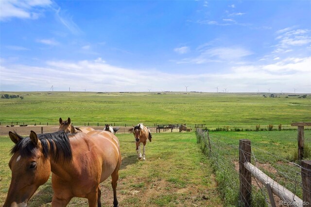 8155 Soapweed Rd, Calhan, CO 80808 - photo 36