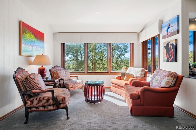 sitting room featuring carpet and baseboards