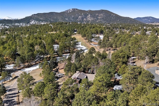 drone / aerial view featuring a mountain view and a view of trees