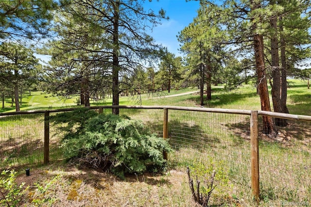 2851 Interlocken Dr, Evergreen, CO 80439 - view of yard