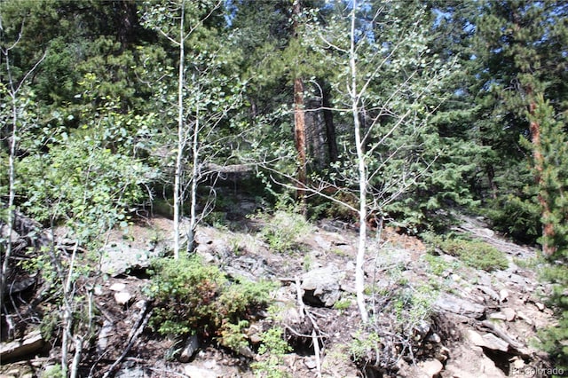 Listing photo 3 for 200 Two Brothers Rd, Idaho Springs CO 80452