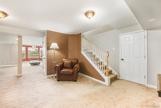 78 Crosshaven Pl, Castle Rock, CO 80104 - photo 26