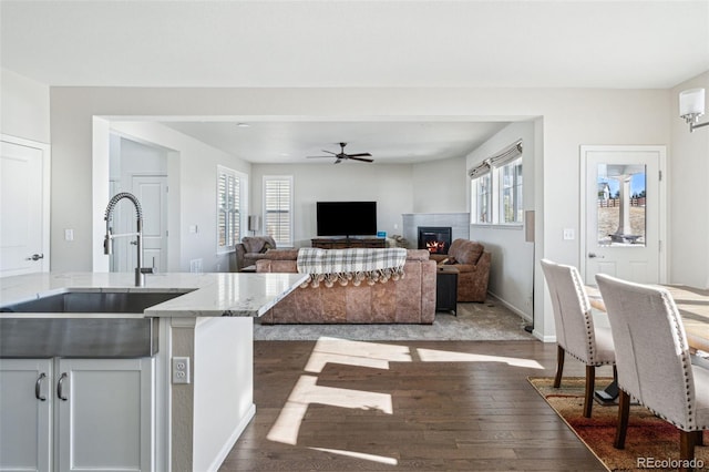 kitchen featuring light stone counters, ceiling fan, dark hardwood / wood-style floors, and sink