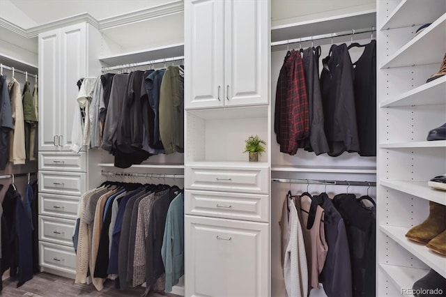 spacious closet featuring hardwood / wood-style floors