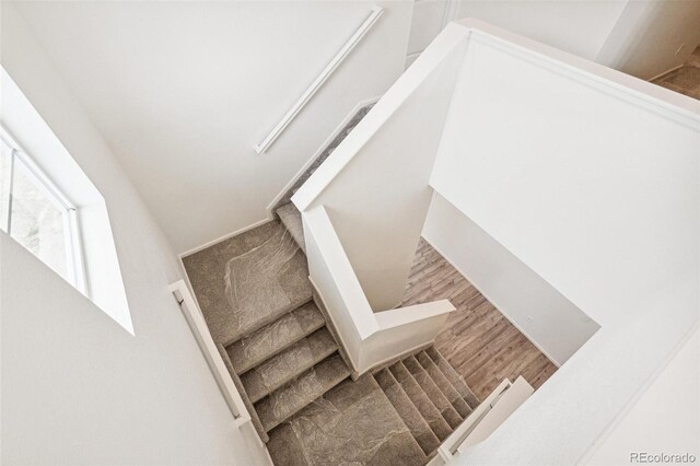 stairs with hardwood / wood-style floors